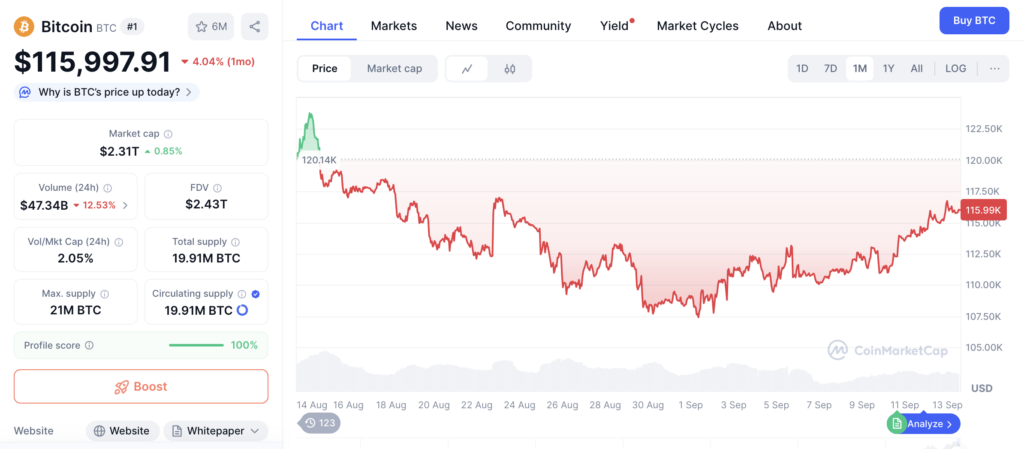 نمودار قیمت و اطلاعات بازار بیت کوین - منبع: CoinMarketCap
